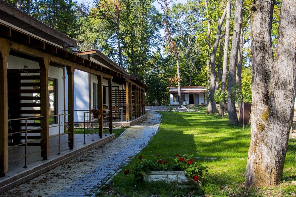 Elmona Villas カムチヤ エクステリア 写真